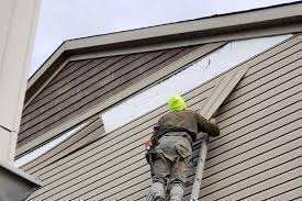 Best Aluminum Siding Installation  in Novi, MI